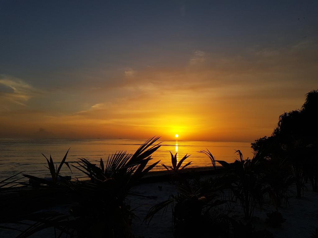 Island Guest Hotel Maamendhoo Екстериор снимка