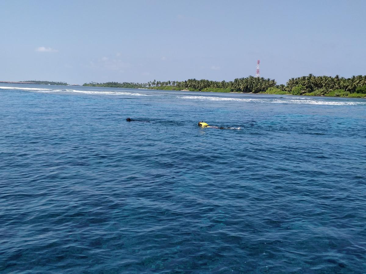 Island Guest Hotel Maamendhoo Екстериор снимка